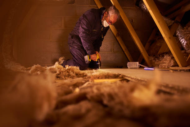 Types of Insulation We Offer in Maplewood, MO